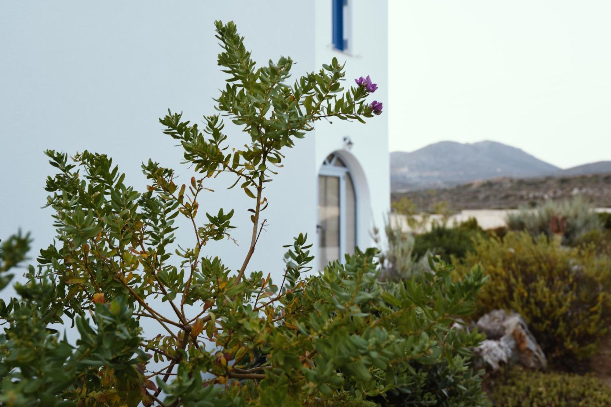 Anemes Aparthotel Avlemonas Bagian luar foto